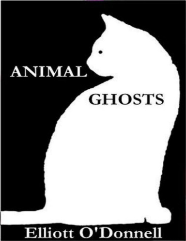 Animal Ghosts