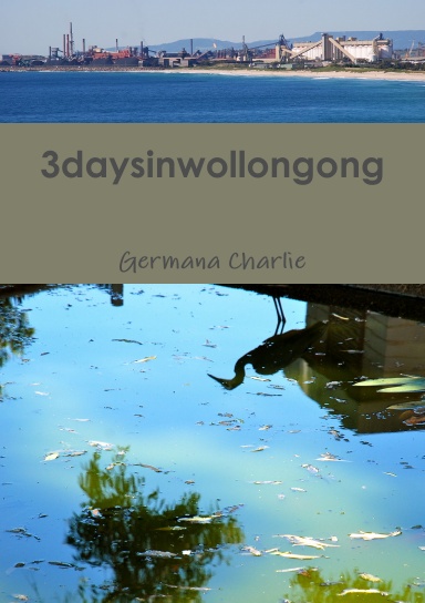 3daysinwollongong