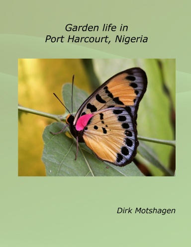 Garden life in Port Harcourt, Nigeria