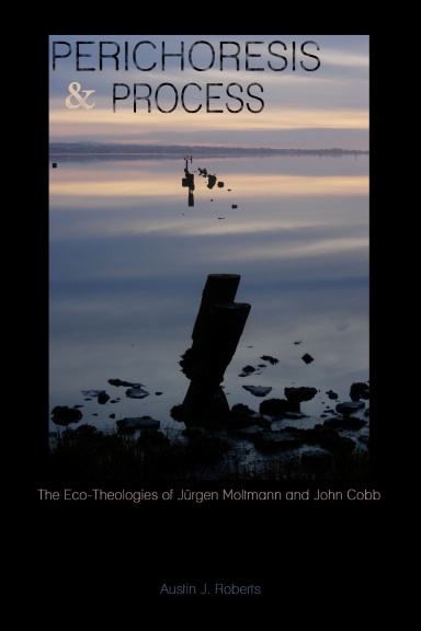 Perichoresis and Process: The Eco-Theologies of Jürgen Moltmann and John Cobb