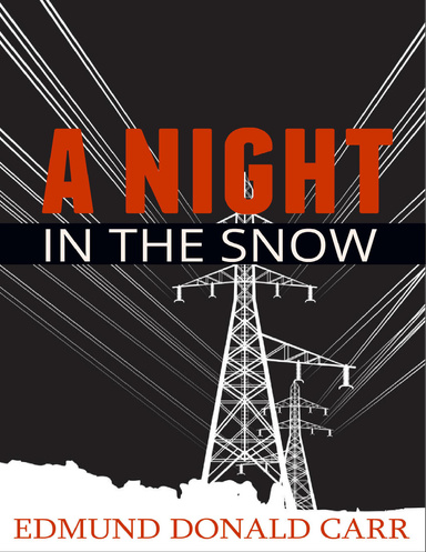 A Night in the Snow