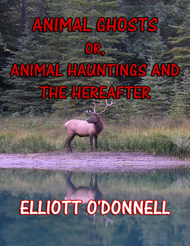 Animal Ghosts or, Animal Hauntings and the Hereafter