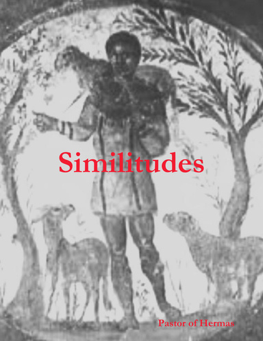 Similitudes