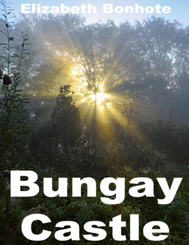 Bungay Castle