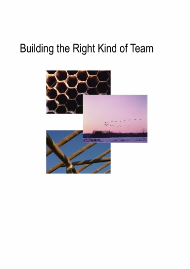 Building the Right Kind of Team