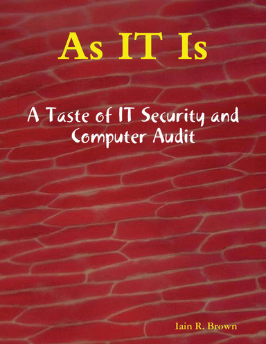 As IT Is: A Taste of IT Security and Computer Audit