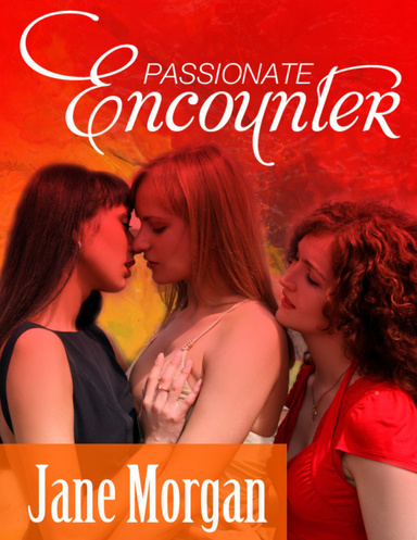 Passionate Encounter (Lesbian Erotica)