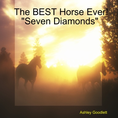The BEST Horse Ever!  "Seven Diamonds"