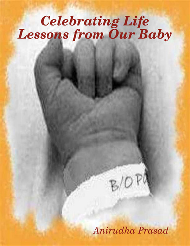 Celebrating Life Lessons from Our Baby