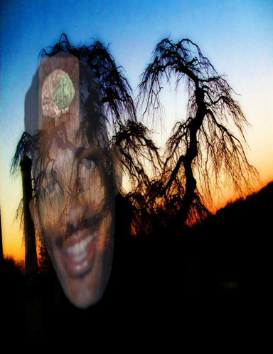 Disbarred And Loving It! Sophomore College Year Poems, I  Poems As Security Guards Of The Mind