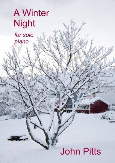 A Winter Night