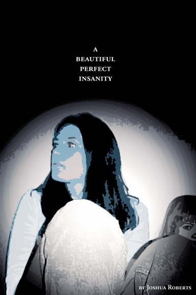 A Beautiful Perfect Insanity