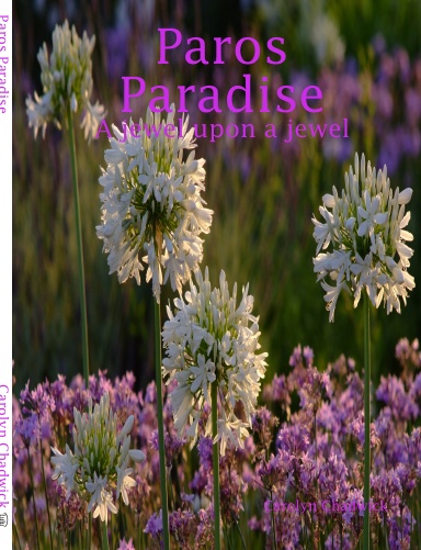 Paros Paradise