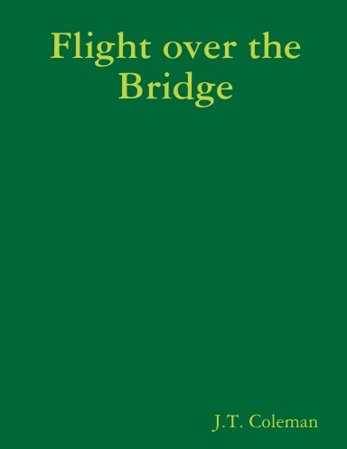 Flight over the Bridge
