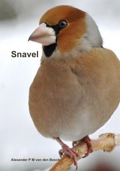 Snavel