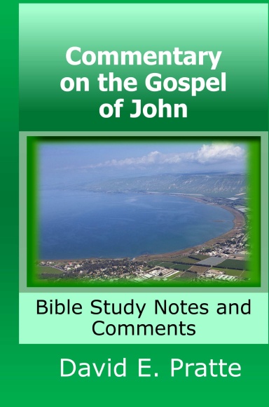 Commentary On The Gospel Of John: Bible Study Notes And Comments