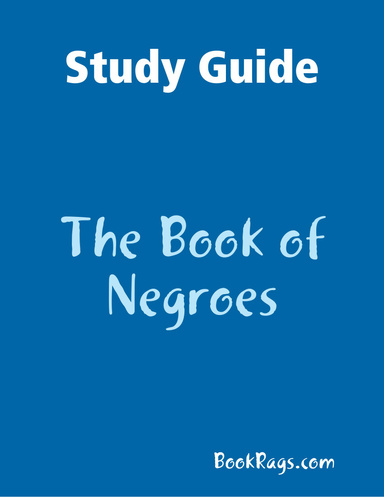 Study Guide: The Book of Negroes