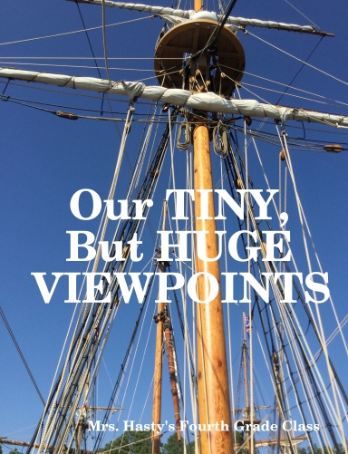 Our Tiny, But Huge Viewpoints