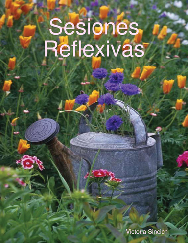Sesiones Reflexivas