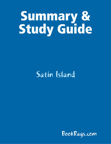Summary & Study Guide: Satin Island