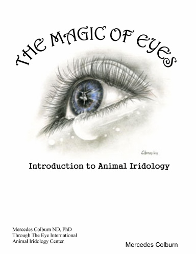 The Magic of Eyes 2017