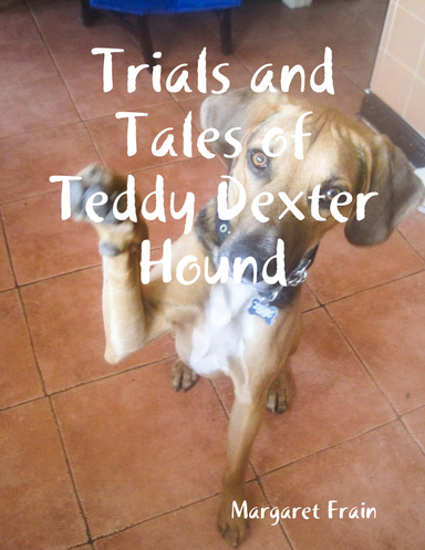 Trials and Tales of Teddy Dexter Hound