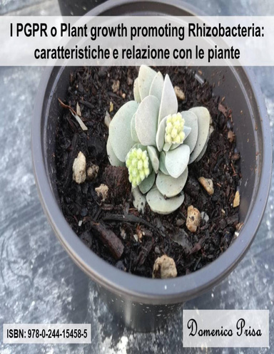 I PGPR o Plant growth promoting Rhizobacteria: caratteristiche e relazione con le piante