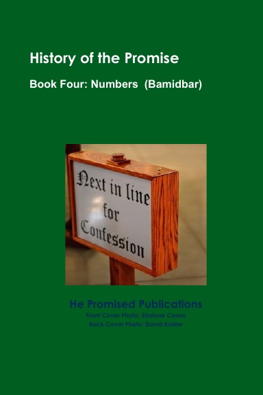 History of the Promise  Book Four: Numbers (Bamidbar)