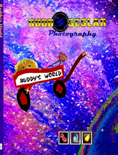 Buddy's World