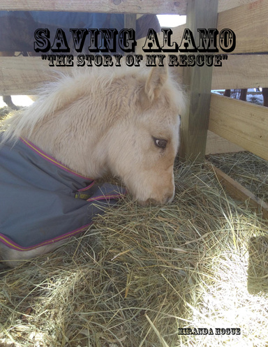 Saving Alamo