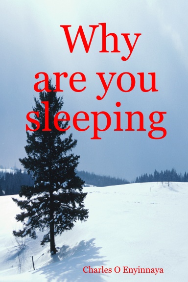 Why are you sleeping