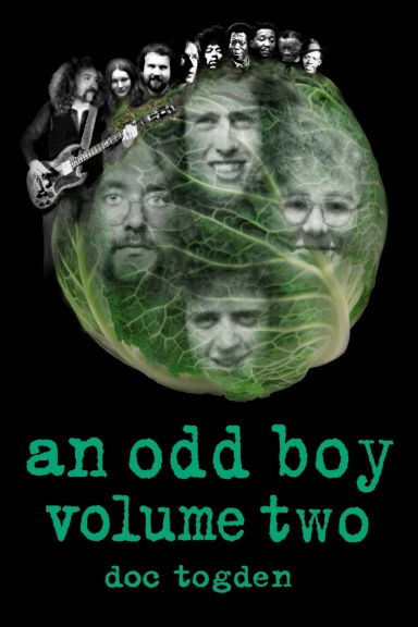an odd boy - volume two [paperback]