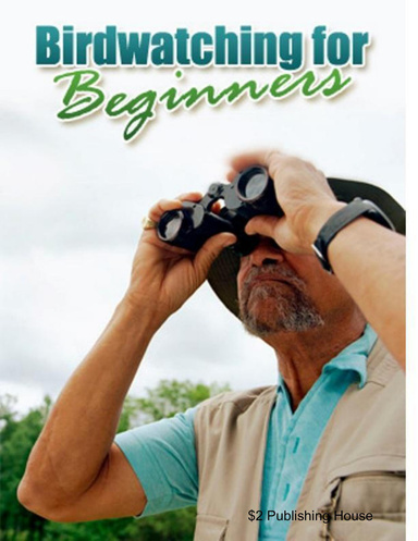 Bird Watching For Beginners