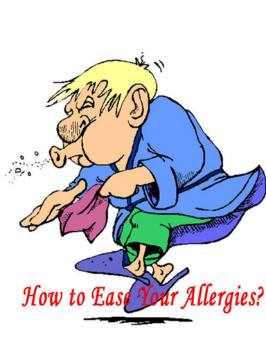 How to Ease Your Allergies?