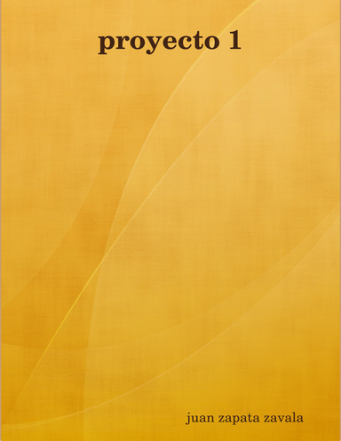 proyecto 1