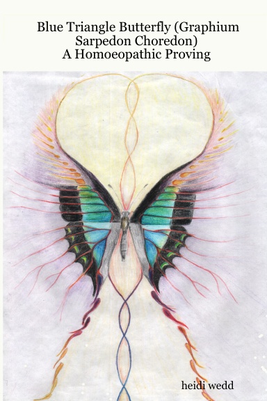 Blue Triangle Butterfly (Graphium Sarpedon Choredon): A Homoeopathic Proving