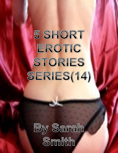 5 SHORT EROTIC STORIES (14)