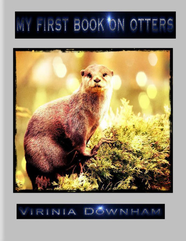 My First Book on Otters