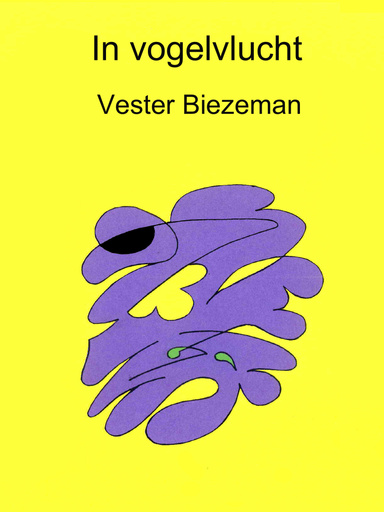 In vogelvlucht