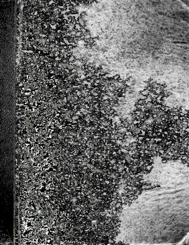 Bloch, Henniq & Schneider's Birds