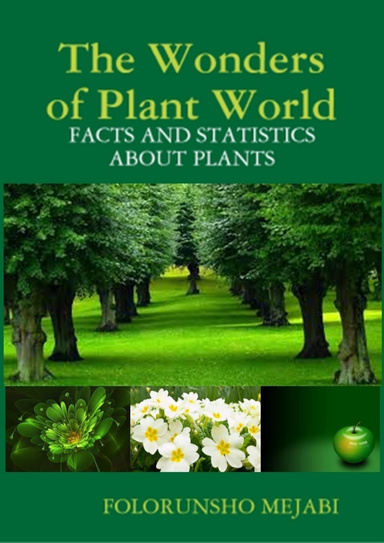 The Wonders of Plant World