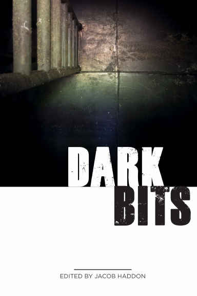 Dark Bits - Hardcover