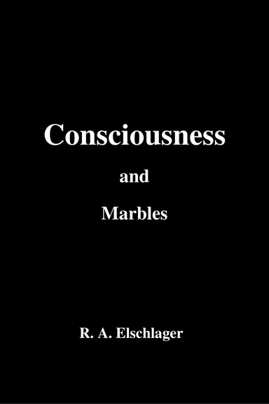 Consciousness and Marbles pdfBk