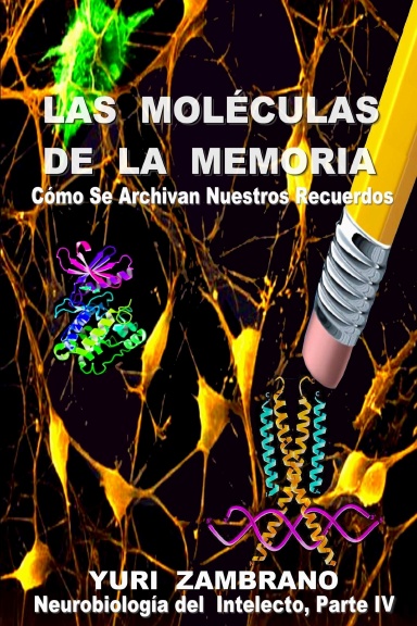 LAS MOLECULAS DE LA MEMORIA