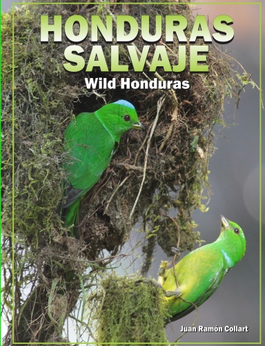 Honduras Salvaje