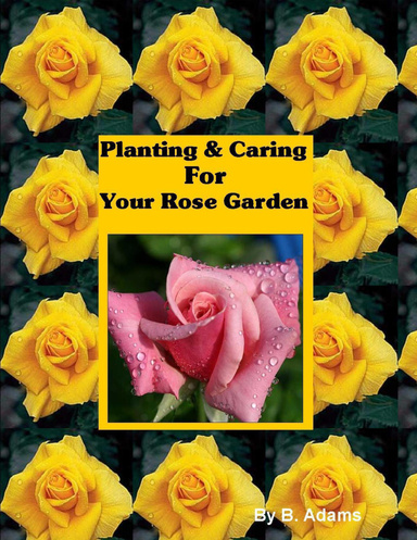 Planting & Caring for Your Rose Garden