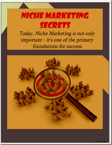 Niche Marketing Secrets