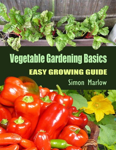 Vegetable Gardening Basics: Easy Growing Guide