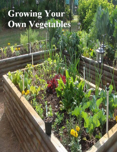 Growing Your Own Vegetables
