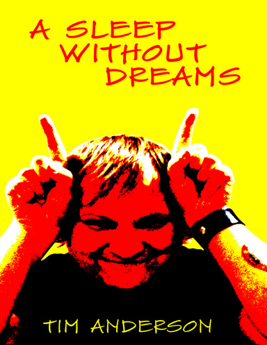 Sleep Without Dreams E-Book